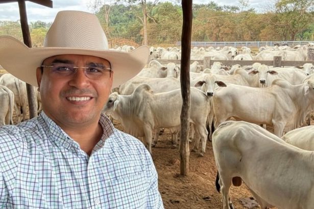 Tecnologia no agro (Foto: Lutz Brito)