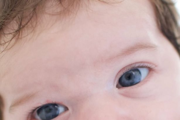 Créditos: Imagem/Divulgação