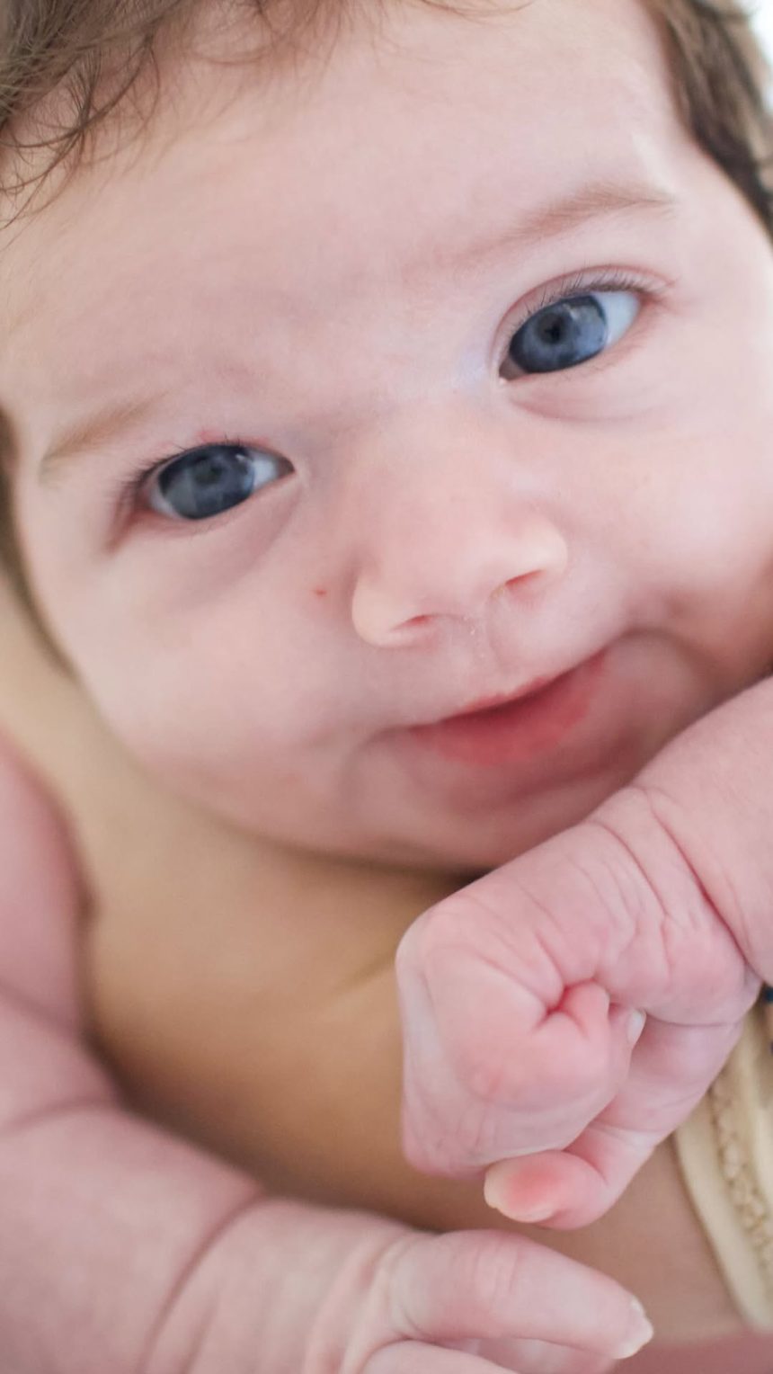 Créditos: Imagem/Divulgação