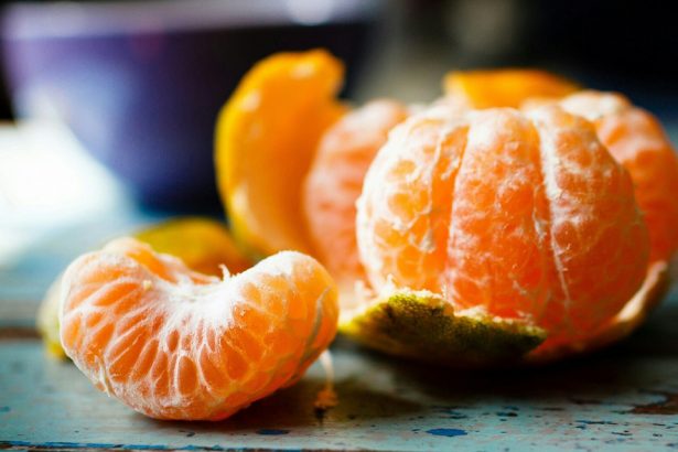 Créditos: Imagem/Divulgação