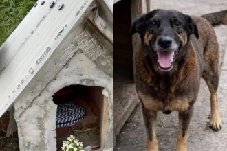 Créditos: Foto/Divulgação