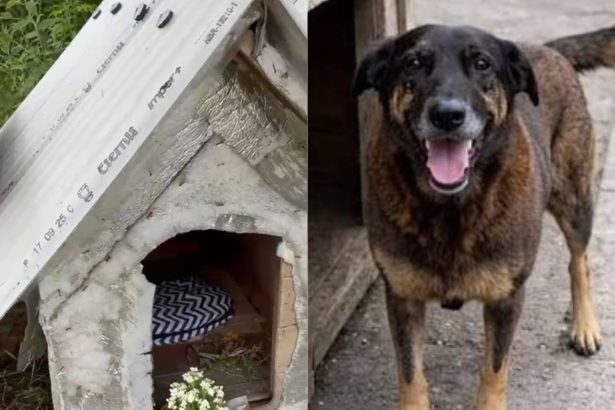 Créditos: Foto/Divulgação