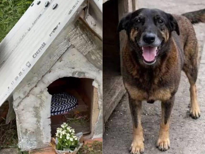 Créditos: Foto/Divulgação