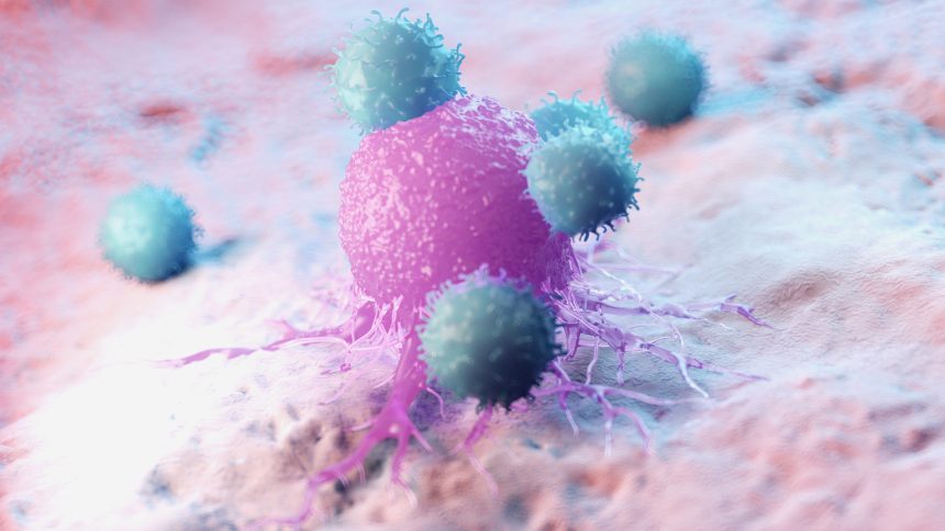 Créditos: Imagem/Divulgação