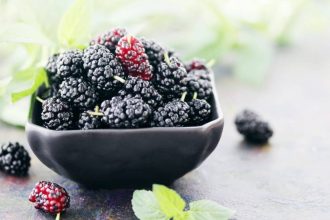 Créditos: Imagem/Divulgação