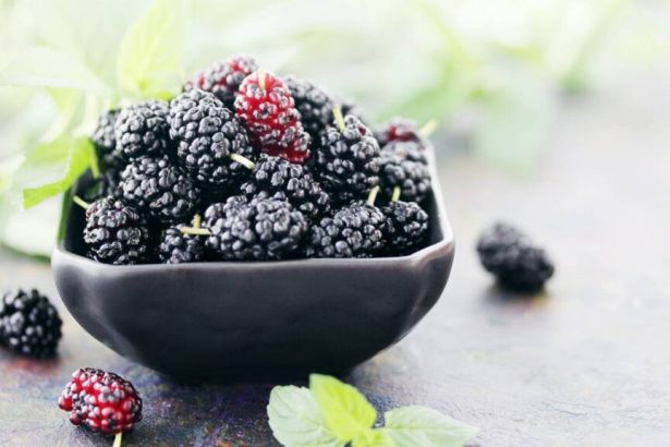 Créditos: Imagem/Divulgação