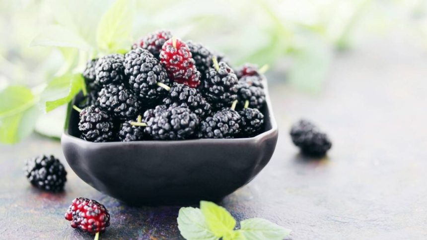 Créditos: Imagem/Divulgação