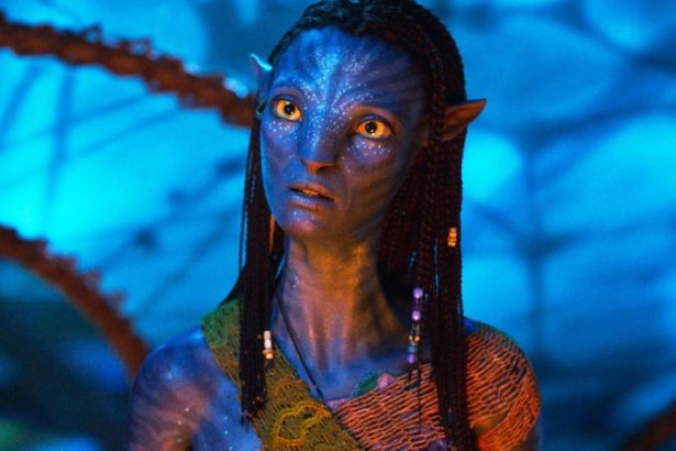 Créditos: Imagem/Divulgação