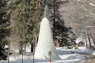 Créditos: Imagem/Divulgação