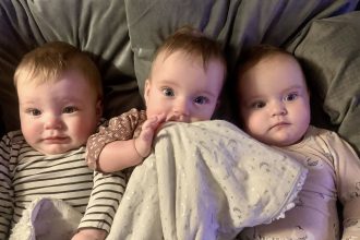 Créditos: Imagem/Divulgação