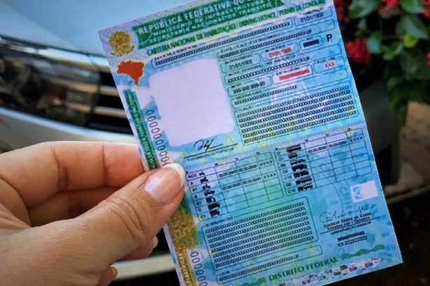 Créditos: Imagem/Divulgação