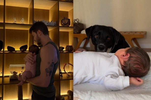 Créditos: Imagem/Divulgação