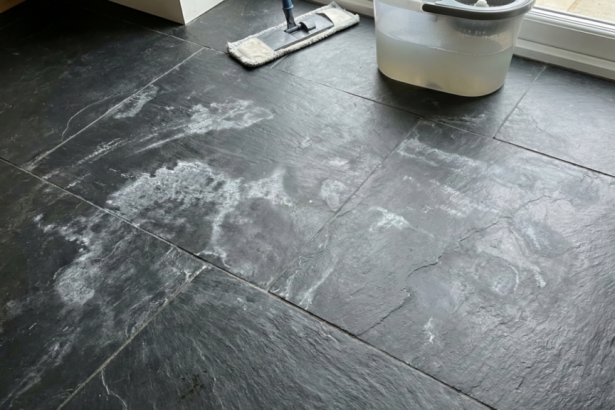 Créditos: Imagem/Divulgação