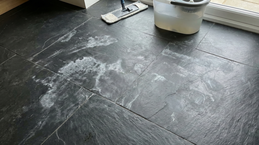 Créditos: Imagem/Divulgação