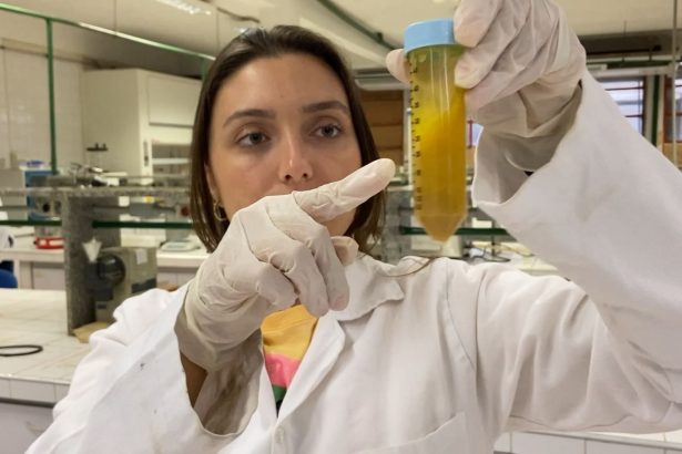 Créditos: Foto/Divulgação