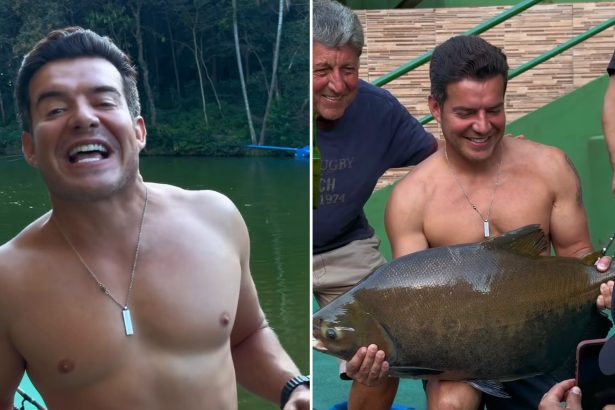 Créditos: Imagem/Divulgação