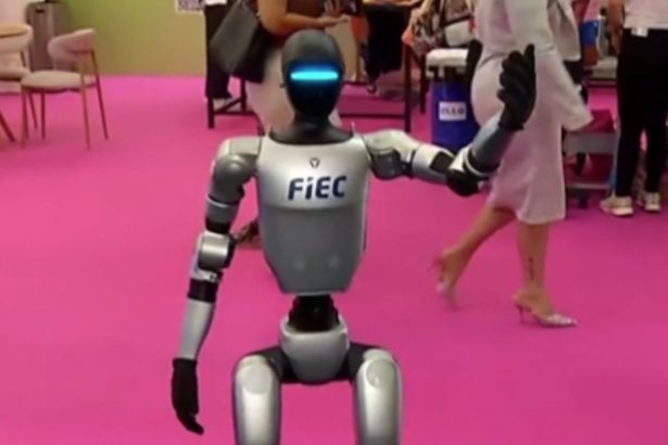 Créditos: Imagem/Divulgação