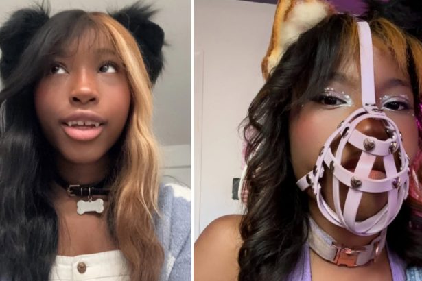 Créditos: Imagem/Divulgação