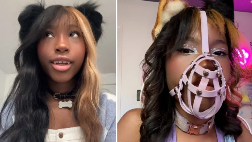 Créditos: Imagem/Divulgação