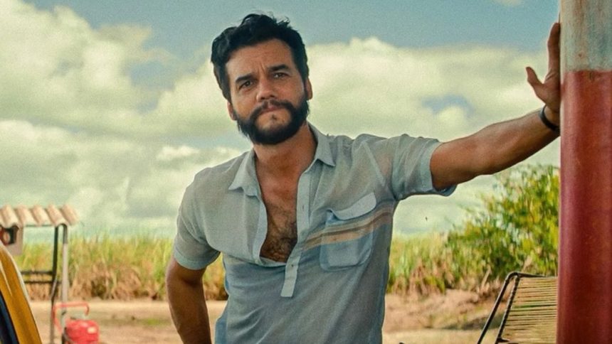 Créditos: Imagem/Divulgação