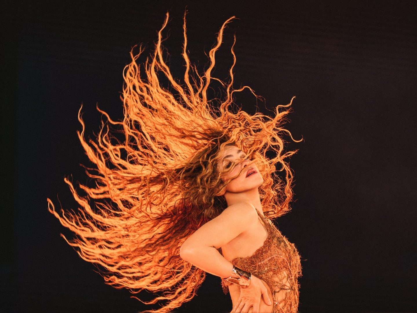 Créditos: Imagem/Divulgação