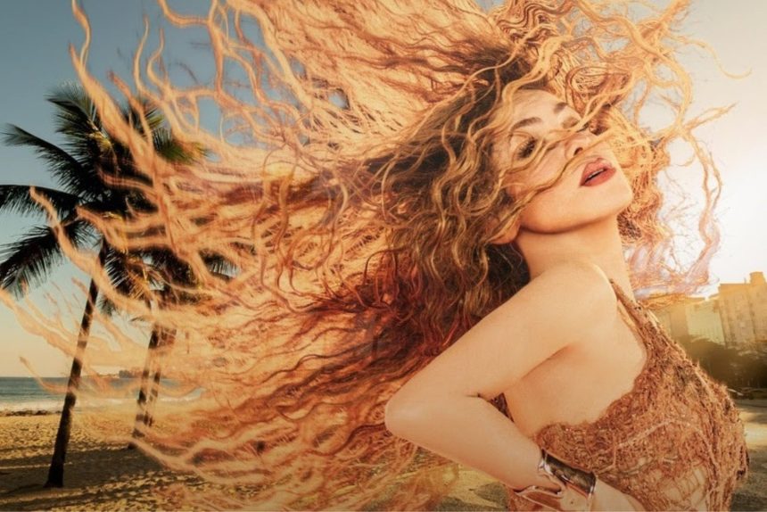 Créditos: Imagem/Divulgação