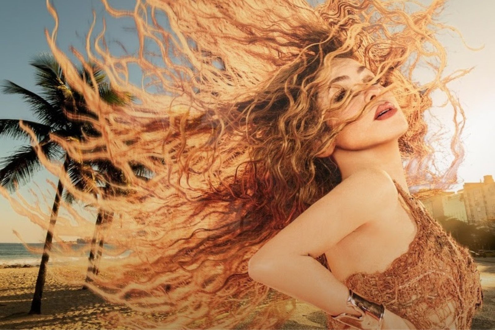 Créditos: Imagem/Divulgação