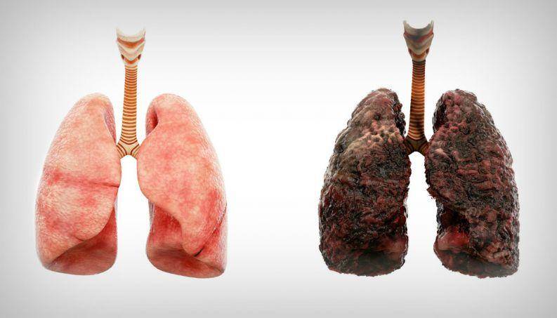 Créditos: Imagem/Divulgação