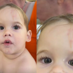 Créditos: Imagem/Divulgação