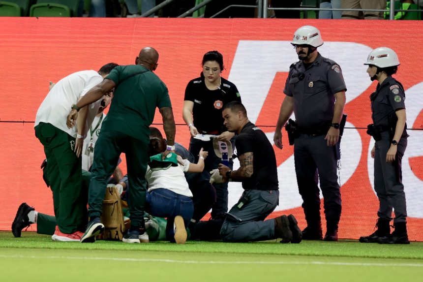 Créditos: Imagem/Divulgação