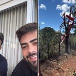 Créditos: Imagem/Divulgação