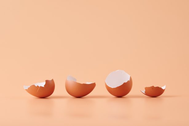 Créditos: Imagem/Divulgação