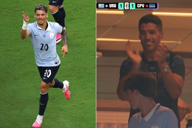 Créditos: Imagem/Divulgação