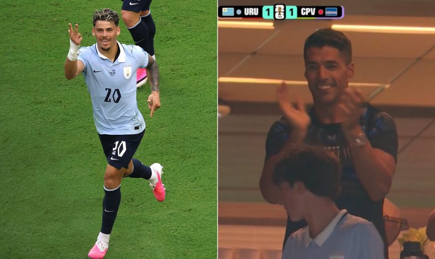Créditos: Imagem/Divulgação