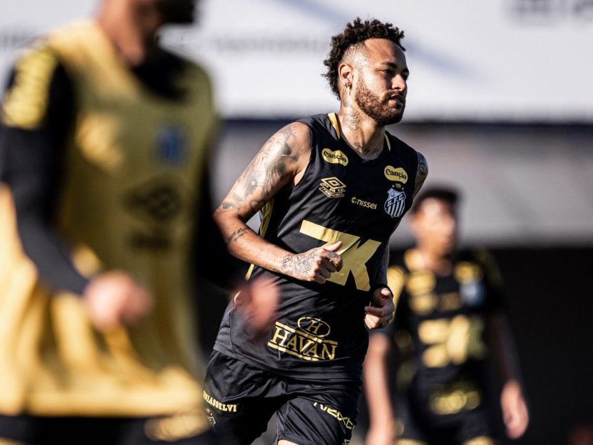 Fotos: Raul Baretta/ Santos FC.