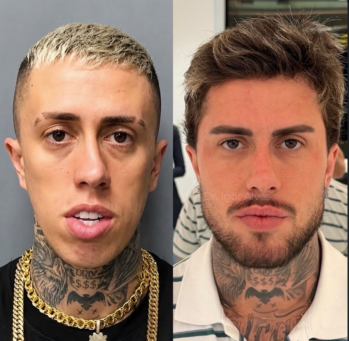 Créditos: Imagem/Divulgação