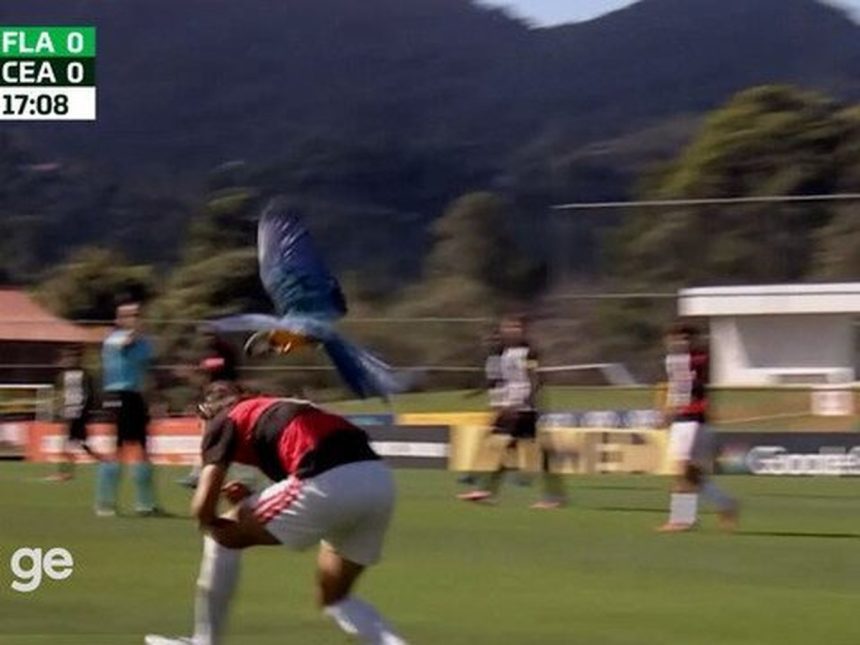Créditos/Reprodução Internet