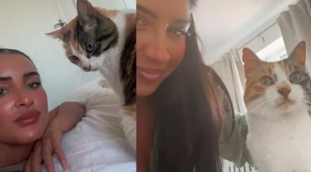 Créditos/Reprodução Internet